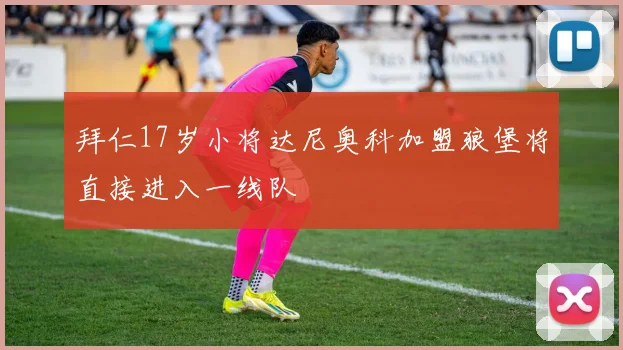 拜仁17岁小将达尼奥科加盟狼堡将直接进入一线队